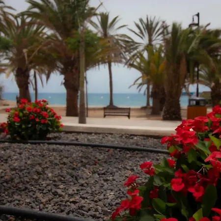 El Carmen شقة
