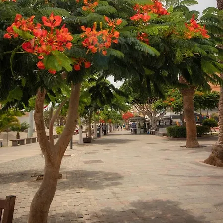 شقة El Carmen
