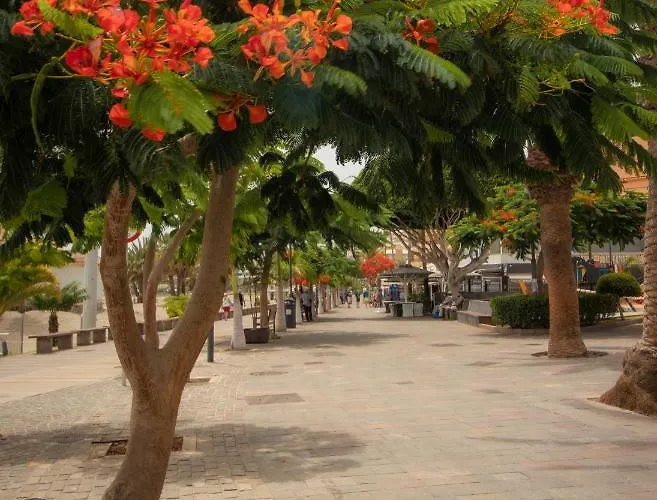 Appartement El Carmen